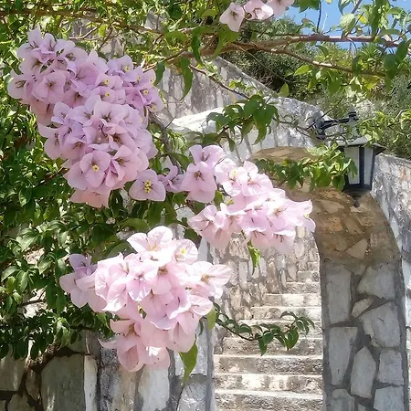 Aparthotel Rania - Rania & Lassi (Kefalonia)