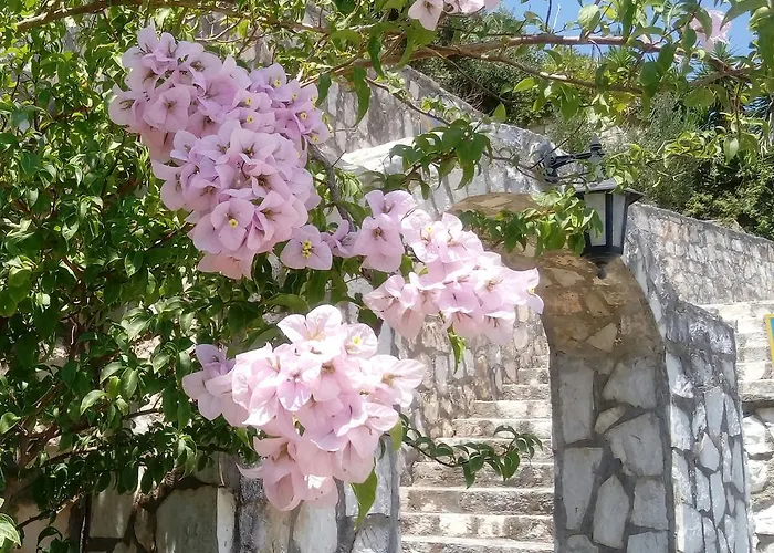 Lägenhetshotell Rania - Rania & Lassi (Kefalonia)